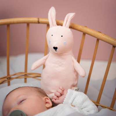 Trixie Mrs Rabbit Plush Toy (small)