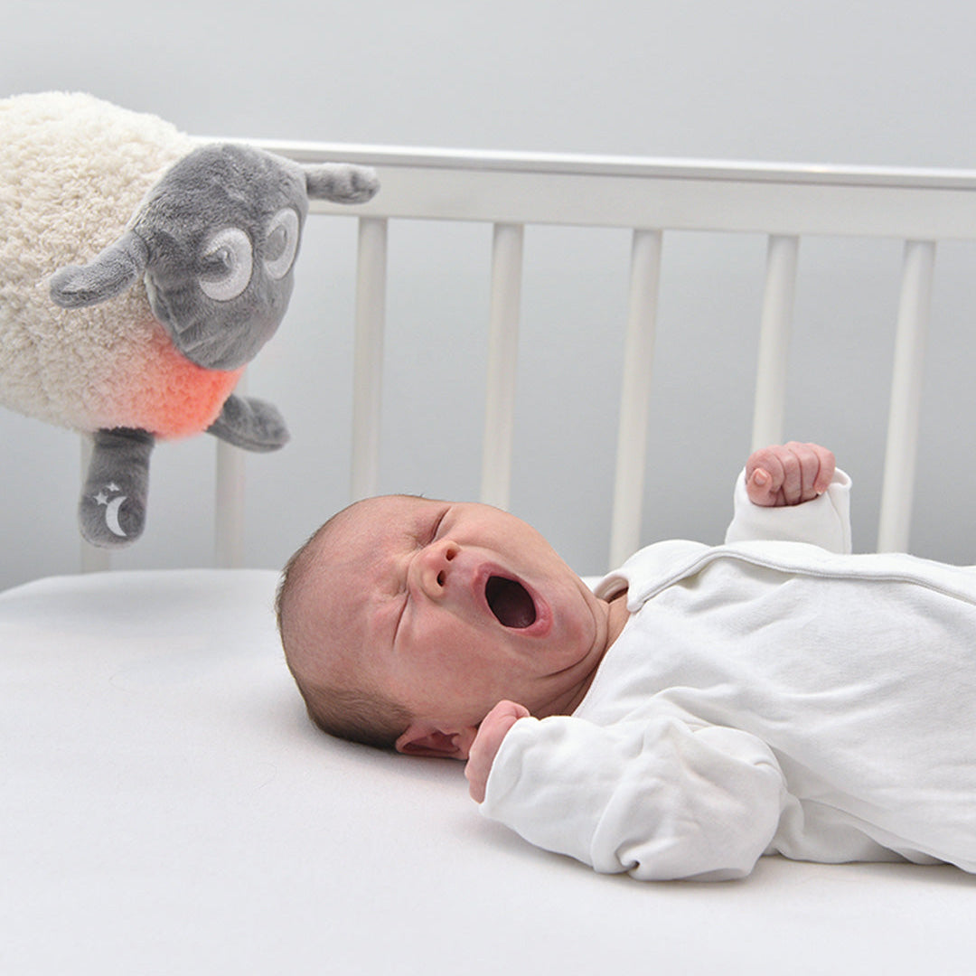 Ewan The Sheep - Deluxe Baby Sleep Aid